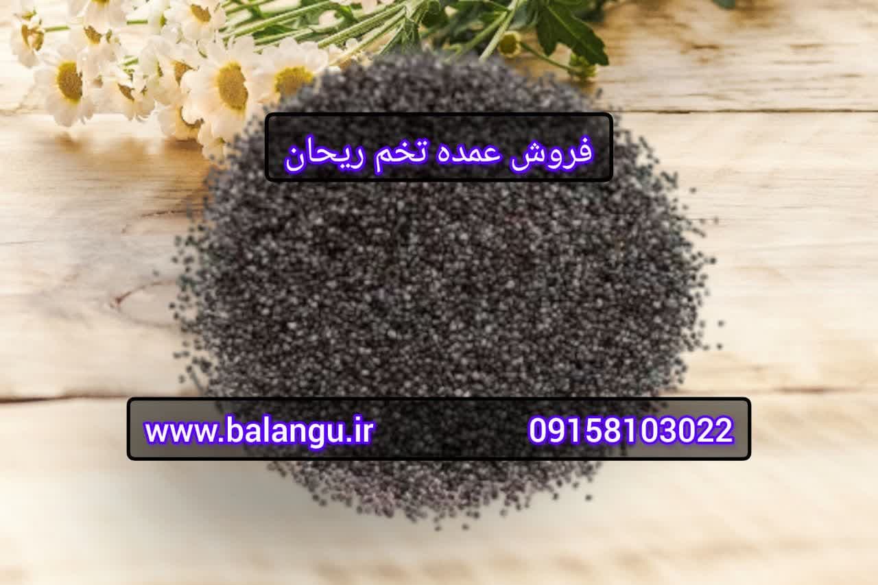 فروش عمده تخم ریحان